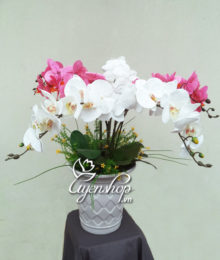 Hoa lụa, hoa giả Uyên shop, Chậu Lan Hồ Điệp