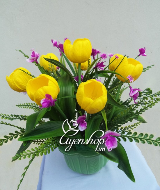 hoa tulip nho - hoa lua - uyenshop