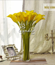 Hoa lụa, hoa giả Uyên shop, Sang trọng với Rum