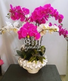 Hoa lụa, hoa giả Uyên shop, Chậu hoa Lan Hồ Điệp