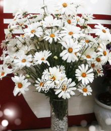 Hoa lụa, hoa giả Uyên shop, Hoa cúc họa mi