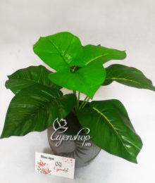 Hoa lụa, hoa giả Uyên shop, Chậu cây xanh