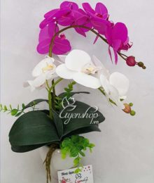 Hoa lụa, hoa giả Uyên shop, Chậu lan xinh