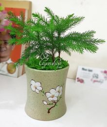 Hoa lụa, hoa giả Uyên shop, Cây tùng bách tán