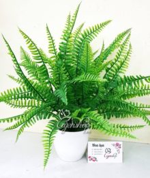 Hoa lụa, hoa giả Uyên shop, Cây Dương xỉ
