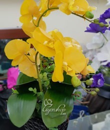 Hoa lụa, hoa giả Uyên shop, Bình Lan vàng