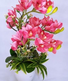 Hoa lụa, hoa giả Uyên shop, Địa Lan Hồng