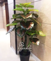 Hoa lụa, hoa giả Uyên shop, Cây Giả – Cây Trầu Ông