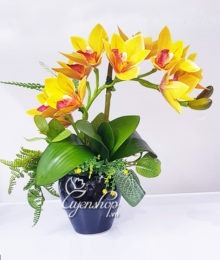 Hoa lụa, hoa giả Uyên shop, Hoa lụa – Bình địa lan