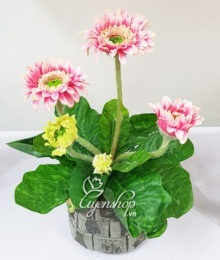 Hoa lụa, hoa giả Uyên shop, Hoa lụa – Cây đồng tiền