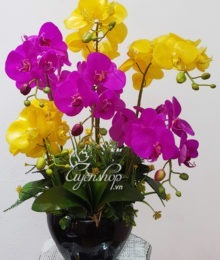 Hoa lụa, hoa giả Uyên shop, Bình Lan cao cấp