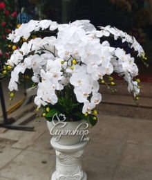 Hoa lụa, hoa giả Uyên shop, Bình Lan trắng tinh khiết