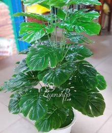 Hoa lụa, hoa giả Uyên shop, Cây trầu bà lá rách