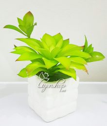 Hoa lụa, hoa giả Uyên shop, Cây Sen Đá