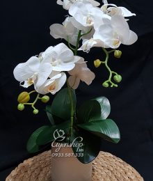 Hoa lụa, hoa giả Uyên shop, Bình Lan Trắng