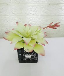 Hoa lụa, hoa giả Uyên shop, Cây Sen Đá Xinh