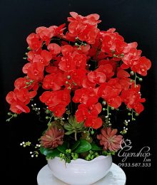 Hoa lụa, hoa giả Uyên shop, Bình Lan Hồ Điệp Đỏ