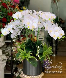 Hoa lụa, hoa giả Uyên shop, Chậu Lan Trắng Cao Cấp Sang Trọng