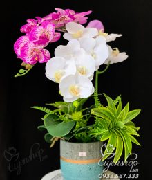 Hoa lụa, hoa giả Uyên shop, Chậu lan tím đốm nhỏ