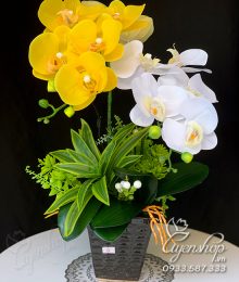 Hoa lụa, hoa giả Uyên shop, Chậu Lan xinh