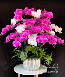 Hoa lụa, hoa giả Uyên shop, Chậu Lan Hồ Điệp