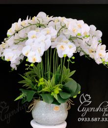 Hoa lụa, hoa giả Uyên shop, Chậu Lan Hồ Điệp Trắng