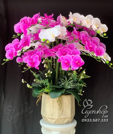 Hoa lụa, hoa giả Uyên shop, Lan Hồ Điệp Phòng Khách