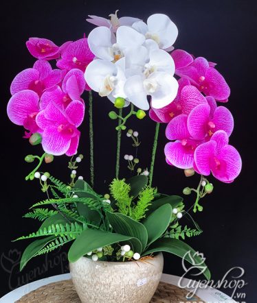 Hoa lụa, hoa giả Uyên shop, Chậu Lan Hồ Điệp trắng tím