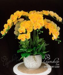 Hoa lụa, hoa giả Uyên shop, Chậu Lan Vàng Sang Trọng