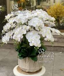 Hoa lụa, hoa giả Uyên shop, Chậu Lan hồ điệp trắng