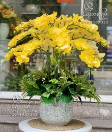 Hoa lụa, hoa giả Uyên shop, Chậu LAN HỒ ĐIỆP vàng