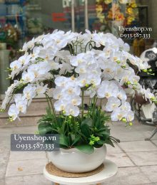 Hoa lụa, hoa giả Uyên shop, CHẬU LAN HỒ ĐIỆP TRẮNG