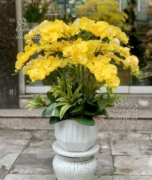 Hoa lụa, hoa giả Uyên shop, Chậu Lan Hồ Điệp vàng