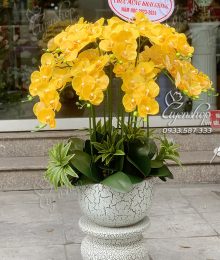 Hoa lụa, hoa giả Uyên shop, Chậu Lan Vàng rực rỡ