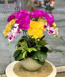 Hoa lụa, hoa giả Uyên shop, Chậu Lan Hồ Điệp Mix Màu