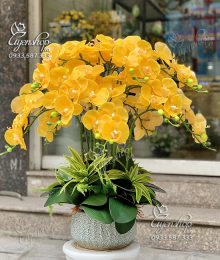 Hoa lụa, hoa giả Uyên shop, Chậu Lan Hồ Điệp Vàng