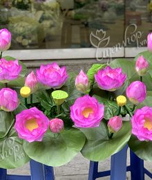 Hoa lụa, hoa giả Uyên shop, Sen Nghệ Nhân Trang Trí Tượng Bác