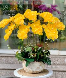 Hoa lụa, hoa giả Uyên shop, Chậu Lan Khảm Trai