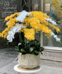 Hoa lụa, hoa giả Uyên shop, Chậu Lan Hồ Điệp Vàng – Trắng
