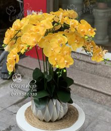 Hoa lụa, hoa giả Uyên shop, Chậu Lan Hồ Điệp Vàng