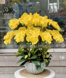 Hoa lụa, hoa giả Uyên shop, Chậu Lan Hồ Điệp Vàng