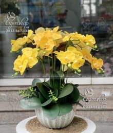 Hoa lụa, hoa giả Uyên shop, Chậu Lan Hồ Điệp Tone Vàng