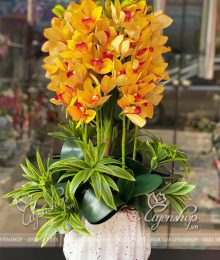 Hoa lụa, hoa giả Uyên shop, Chậu Địa Lan sang trọng