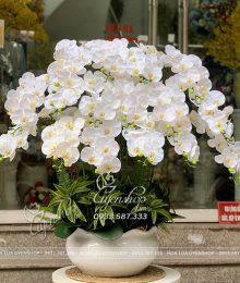 Hoa lụa, hoa giả Uyên shop, Chậu Lan Trắng Sang Trọng