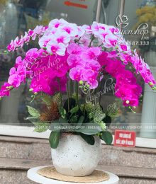 Hoa lụa, hoa giả Uyên shop, Chậu Lan Hồ Điệp Để Phòng Khách