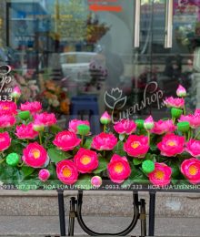 Hoa lụa, hoa giả Uyên shop, Hoa Sen Trang Trí Tượng Bác