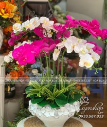 Hoa lụa, hoa giả Uyên shop, Chậu Lan Hồ Điệp Phòng Khách