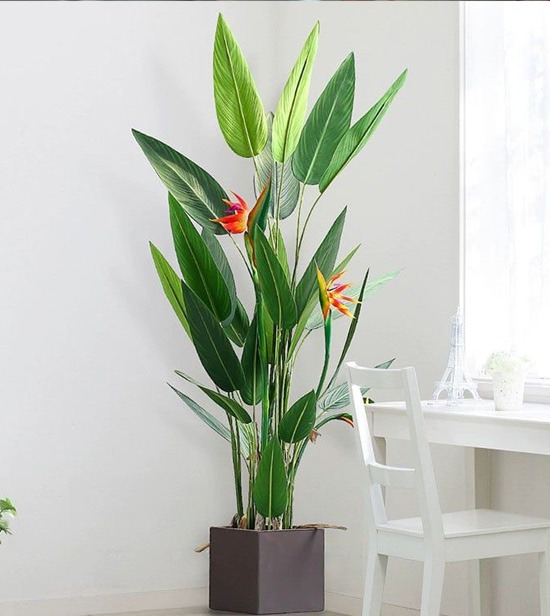 Hoa lụa, hoa giả Uyên shop, 3 “ngôi sao” cây giả TikTok 2025 và ý tưởng decor phòng khách