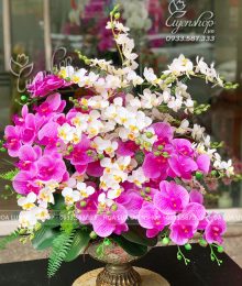 Thuyền Lan Tiểu Hồ Điệp Hoa lụa, hoa giả Uyên shop, Thuyền Lan Tiểu Hồ Điệp