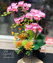 Chậu Lan Tiểu Hồ Điệp Hồng Xinh Hoa lụa, hoa giả Uyên shop, Chậu Lan Tiểu Hồ Điệp Hồng Xinh